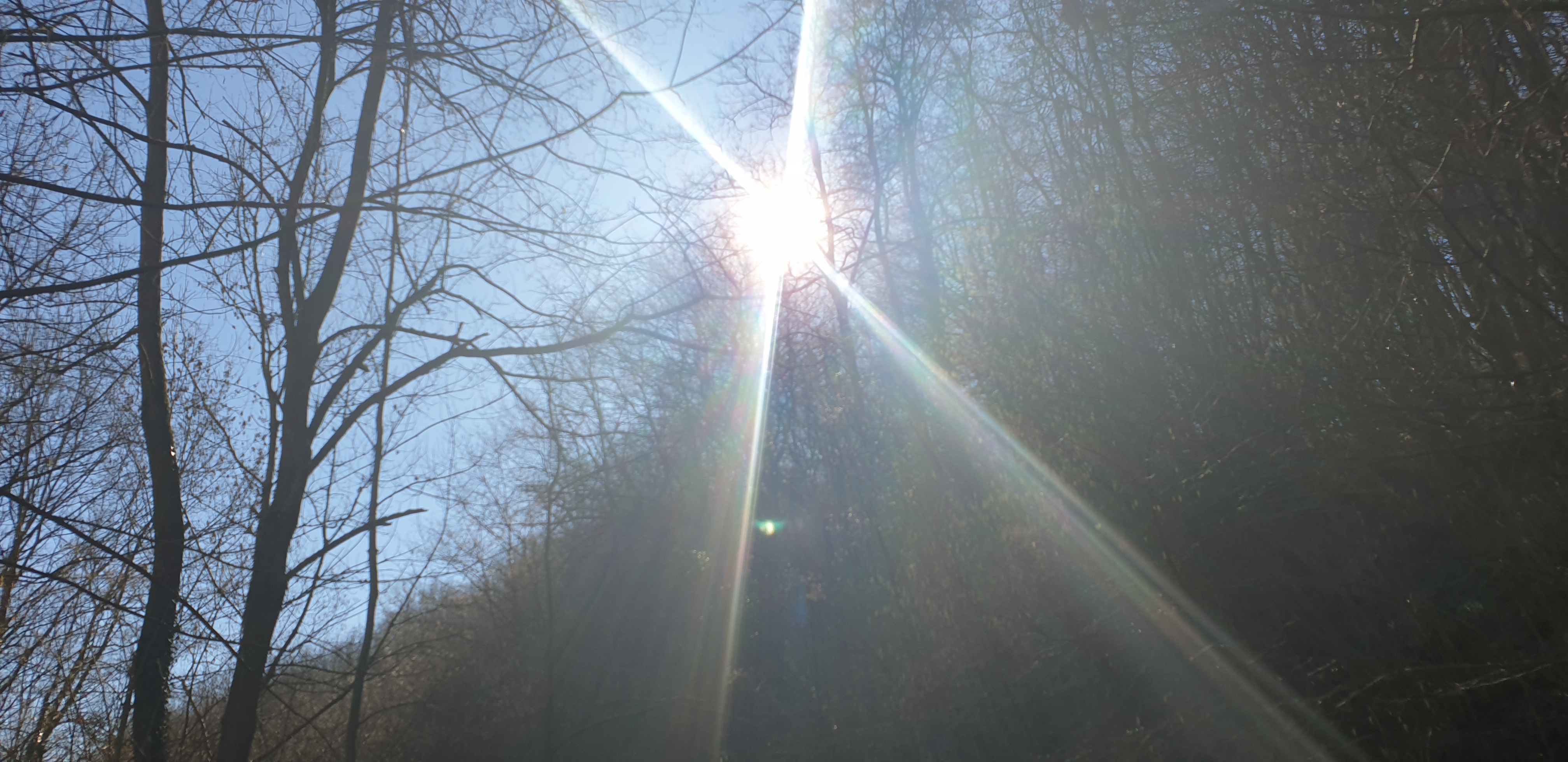 Photo n° 4 de l'avis de jeanpaul.e fait le 06/03/2019 à 14:24