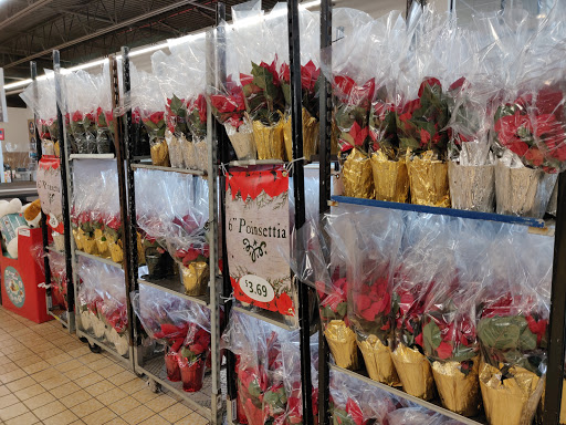 Supermarket «ALDI», reviews and photos, 5525 IL-53, Lisle, IL 60532, USA