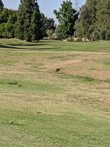 Golf Course «Campus Commons Golf Course», reviews and photos, 2 Cadillac Dr, Sacramento, CA 95825, USA