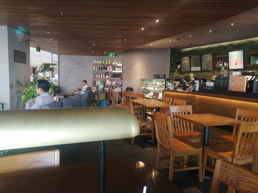 Top 20 cửa hàng starbucks Huyện Mỹ Xuyên Sóc Trăng 2022