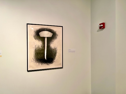 Art Museum «Susquehanna Art Museum», reviews and photos, 1401 N 3rd St, Harrisburg, PA 17102, USA