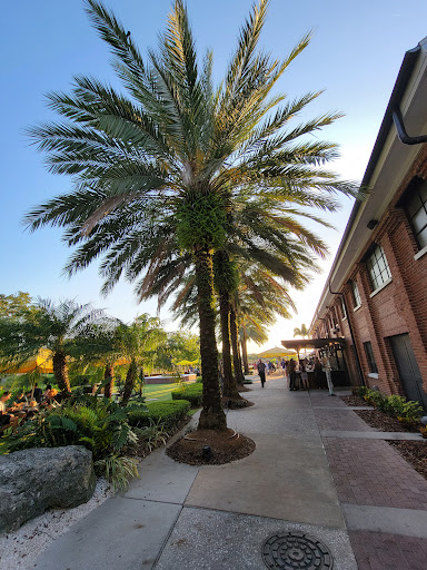 Native American Restaurant «Ulele», reviews and photos, 1810 N Highland Ave, Tampa, FL 33602, USA