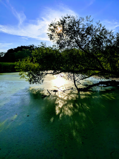 Nature Preserve «Lincoln Marsh», reviews and photos, Harrison Ave & Pierce Ave, Wheaton, IL 60187, USA