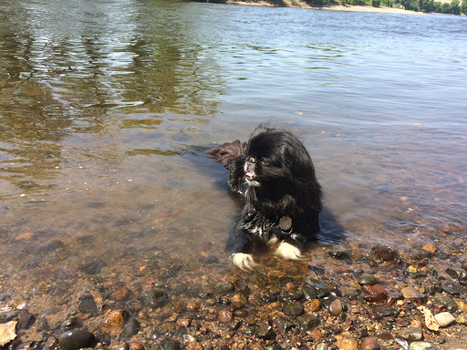 Park «Marshall Terrace Park», reviews and photos, 2740 Marshall St NE, Minneapolis, MN 55418, USA