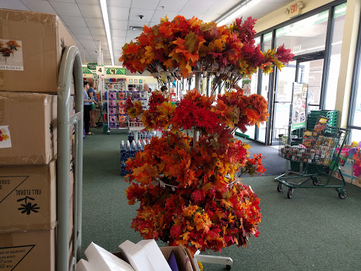 Dollar Store «Dollar Tree», reviews and photos, 6113 Ronald Reagan Dr, Lake St Louis, MO 63367, USA