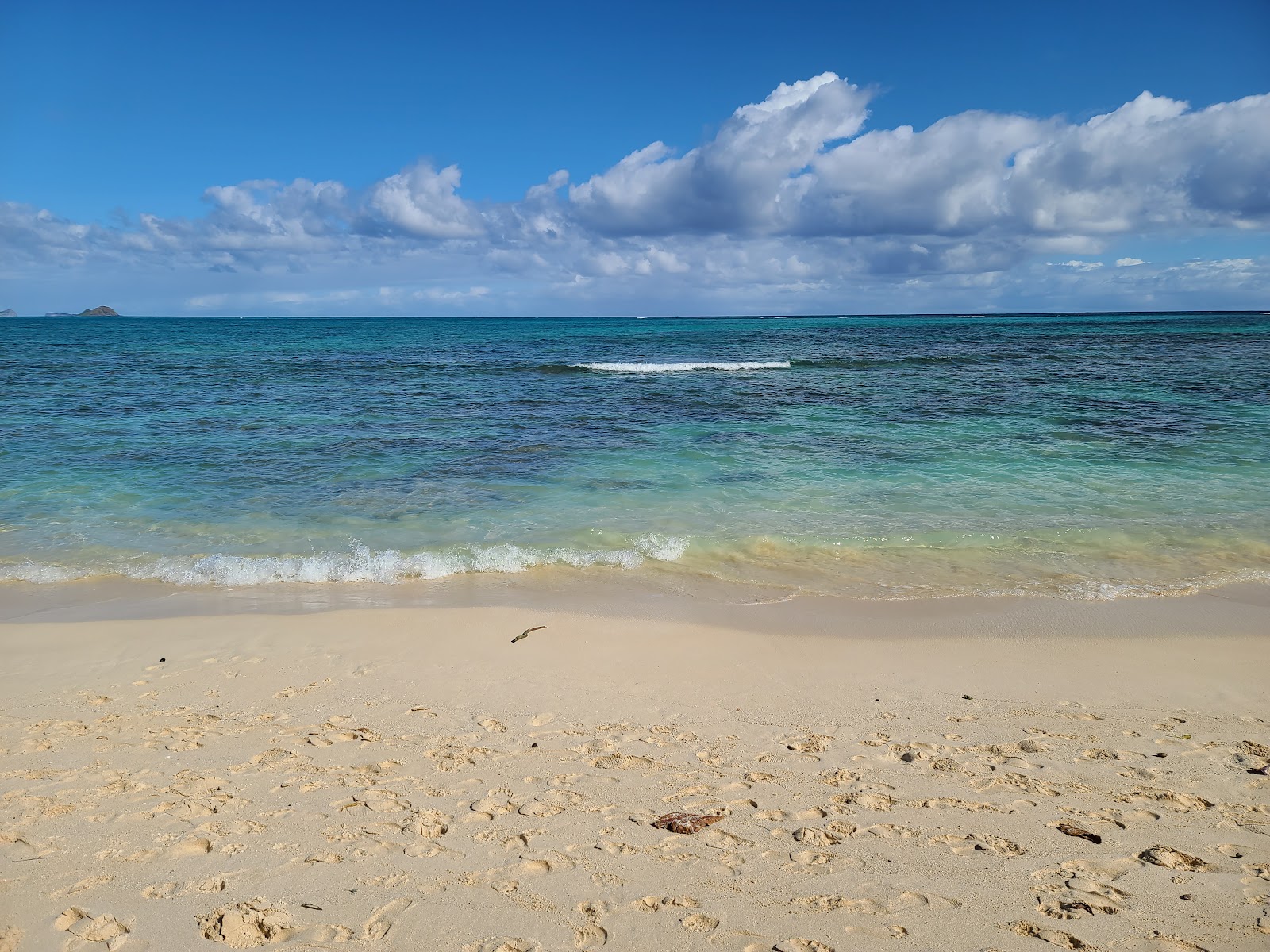 Kaiona Beach'in fotoğrafı imkanlar alanı