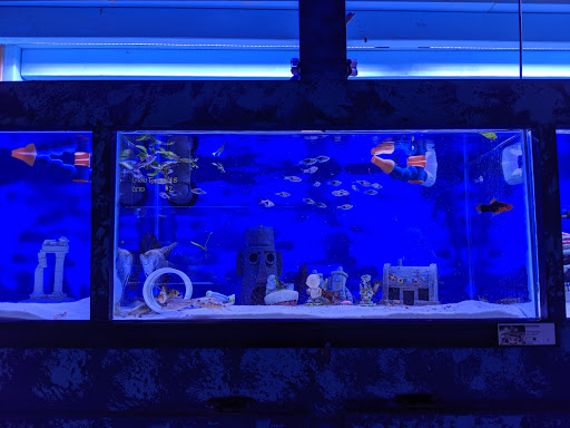 Aquarium «Reef Coral», reviews and photos, 12442 Jefferson Hwy, Baton Rouge, LA 70816, USA