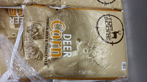 Department Store «Walmart Supercenter», reviews and photos, 135 Stoneridge Dr N, Ruckersville, VA 22968, USA