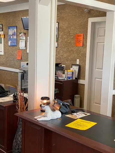 Insurance Agency «Best Insurance», reviews and photos