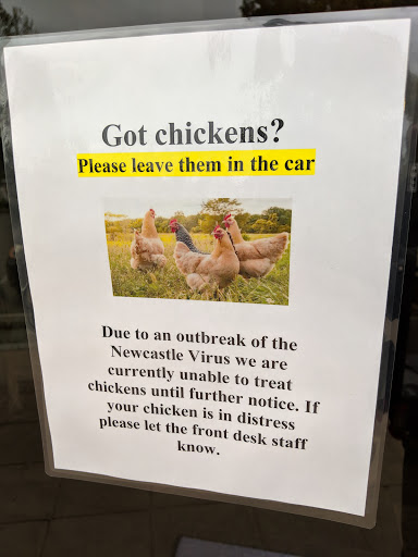 Adobe Animal Hospital image