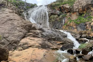 Mundy Regional Park image