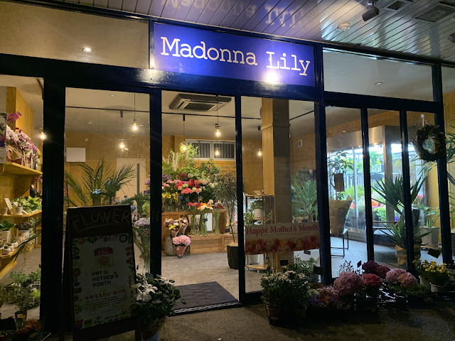 Madonna Lily