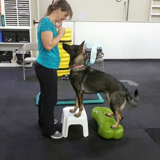 Wags & Wiggles image