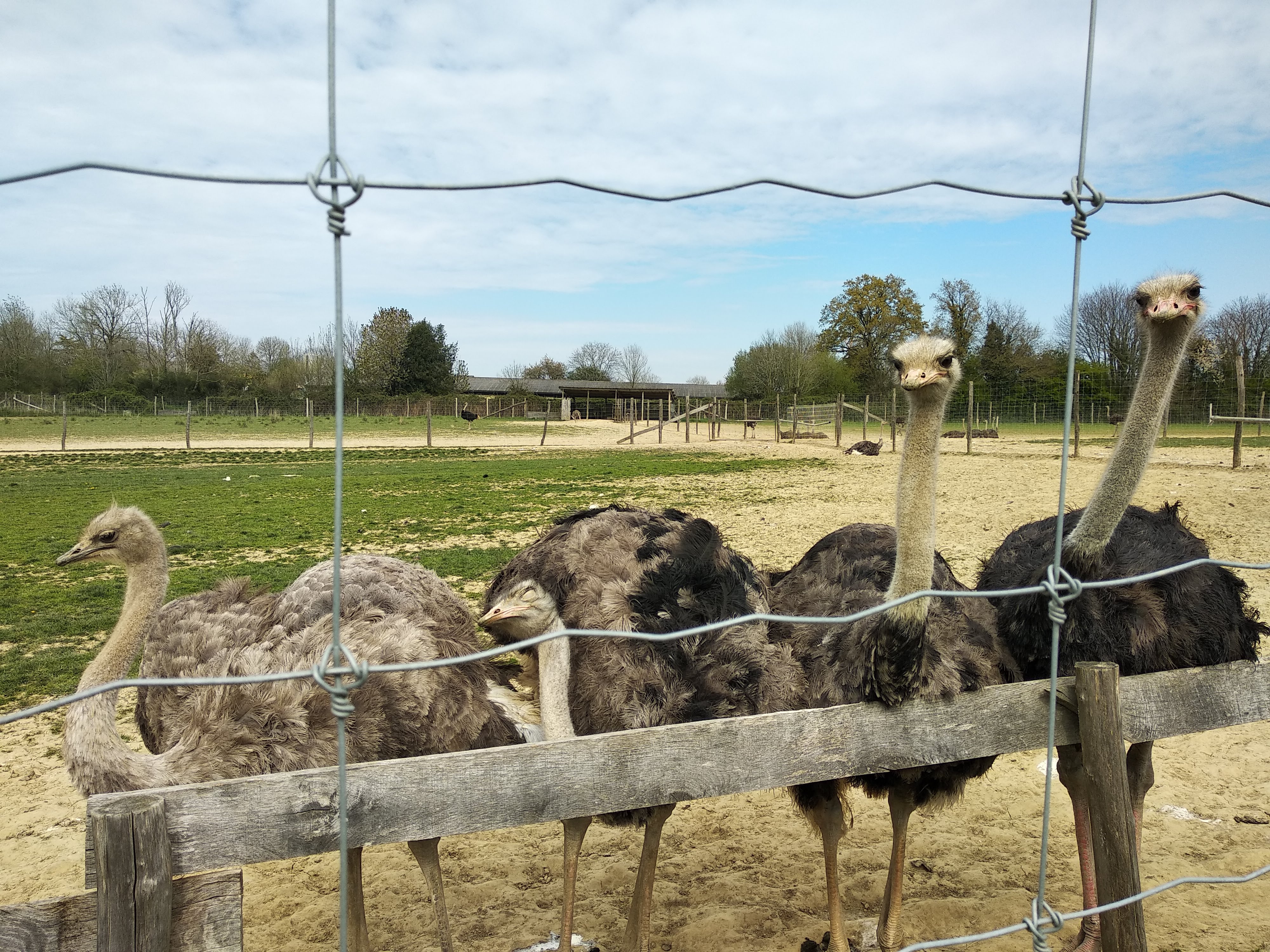 Photo n° 11 de l'avis de Corinne.r fait le 20/04/2019 à 14:41