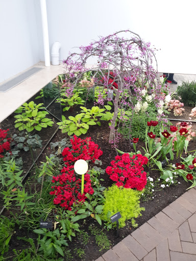 Gift Shop «Meijer Gardens Gift Shop», reviews and photos, 1000 E Beltline Ave NE, Grand Rapids, MI 49525, USA