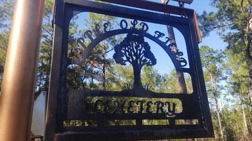 National Forest «Francis Marion National Forest», reviews and photos, 2967 Steed Creek Rd, Huger, SC 29450, USA