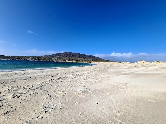 Dogs Bay Beach