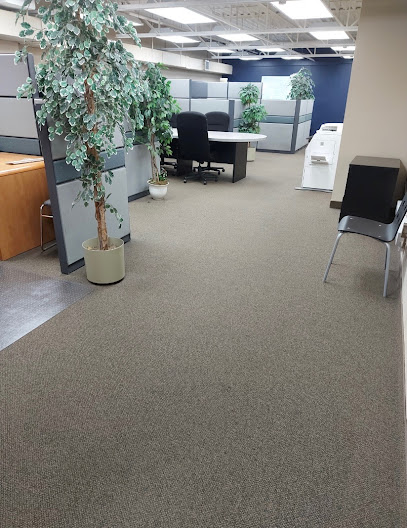 Arelli Office Cleaning & Commercial Cleaning Services in Barrie