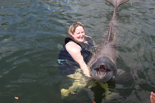 Recreation «Dolphins Plus Oceanside», reviews and photos, 31 Corinne Pl, Key Largo, FL 33037, USA