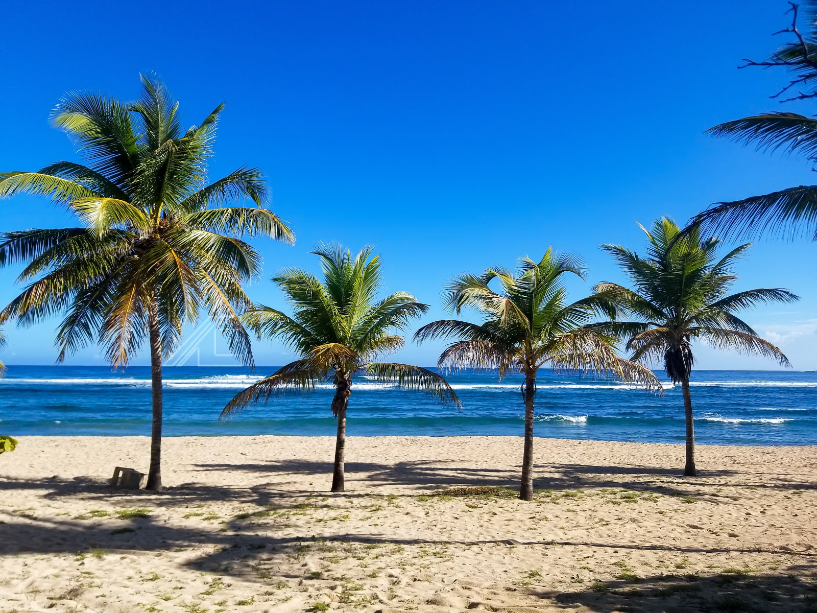 Playa Grande Luperon photo #8