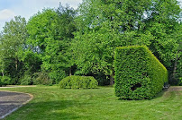 Vantage350-Snow Removal and Lawn Care - Photo 8 - Car repair in , Rochester