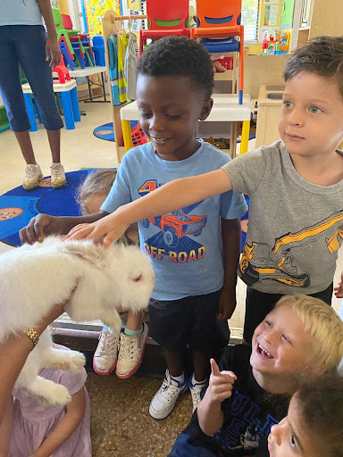 Preschool «Suncoast Academy: South Tampa Preschool», reviews and photos, 4207 W San Miguel St, Tampa, FL 33629, USA