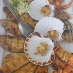 Photo n°1 de l'avis de Trilly.u fait le 17/04/2023 à 11:53 sur le  Osteria al Gambero Sbronzo à Misano Adriatico