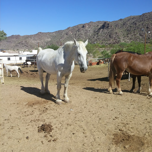 Park «South Mountain Park», reviews and photos, 10919 S Central Ave, Phoenix, AZ 85042, USA