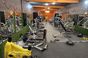 Muscle Paradise Gym image