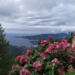 Photo n°2 de l'avis de Daniela.o fait le 13/06/2020 à 12:26 sur le  Casa del Pellegrino à Rapallo