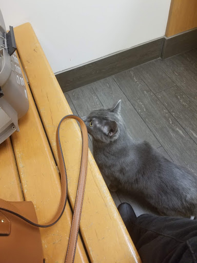 Pet Supply Store «PetSmart», reviews and photos, 156 Old Little Britain Rd, Newburgh, NY 12550, USA