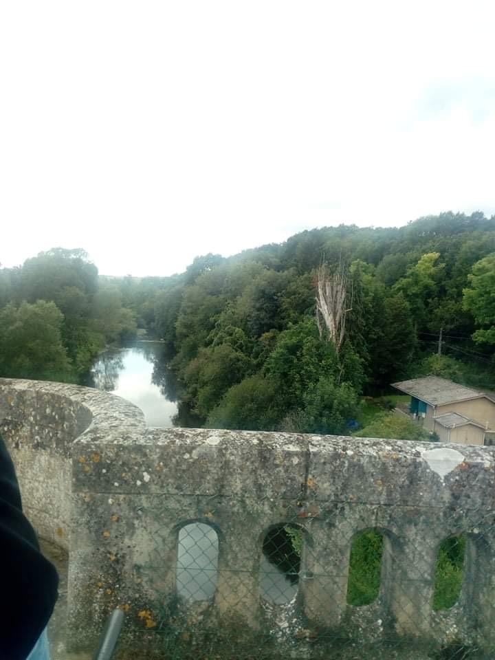 Photo n° 2 de l'avis de Myrtille.l fait le 28/07/2021 à 16:55