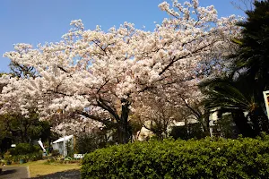 Shimojima Park image