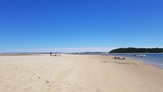 Sandy Point beach