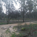 Photo n°4 de l'avis de Renato.o fait le 08/04/2018 à 12:01 sur le  Monte Real Hotel,Termas & Spa à Monte Real