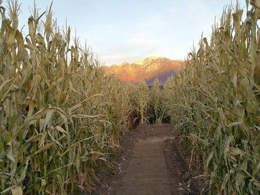 Produce Market «Kuwahara Farms», reviews and photos, 736 12300 S, Draper, UT 84020, USA