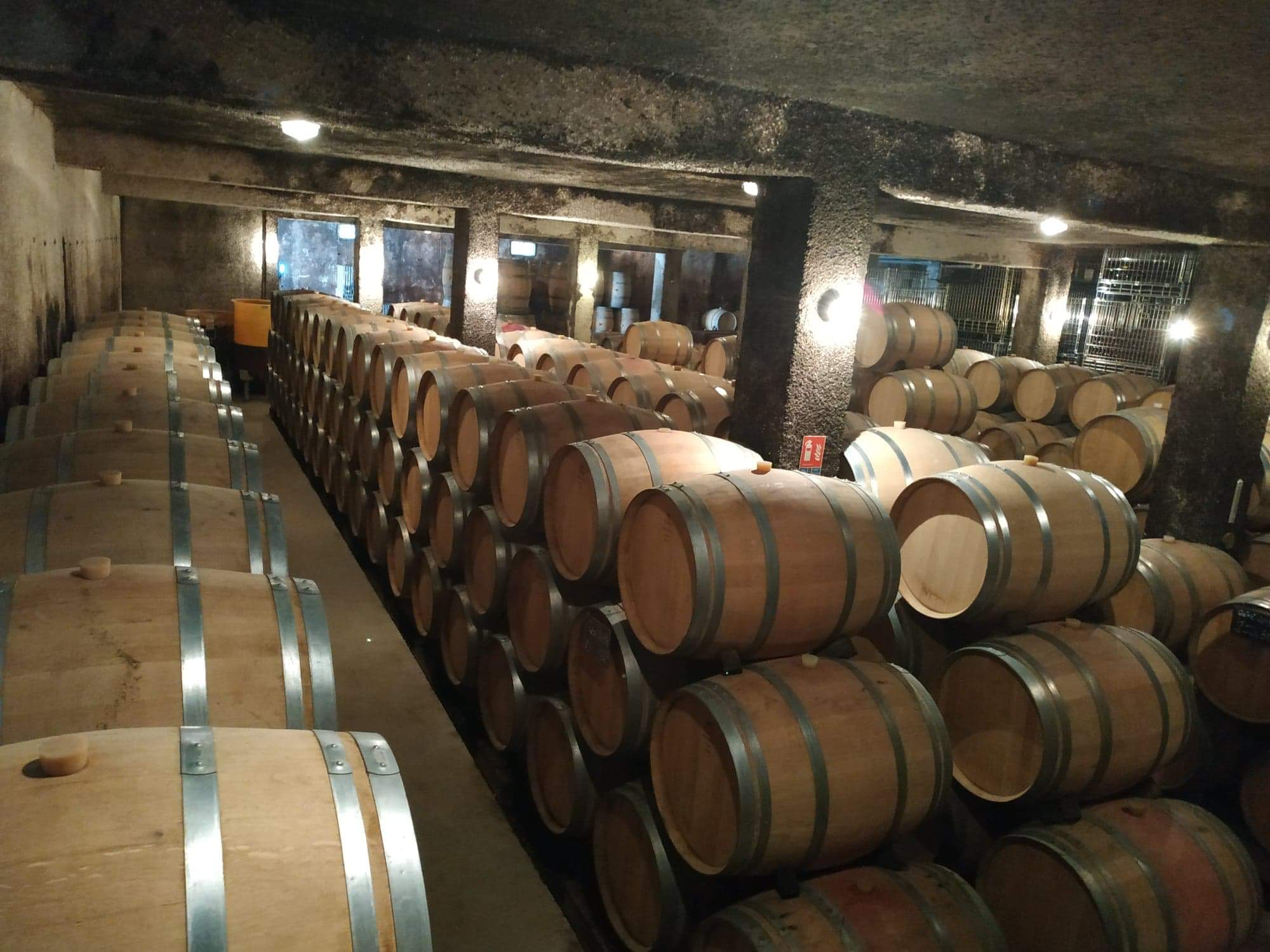 Photo n° 6 de l'avis de yann.a fait le 20/08/2020 à 07:11