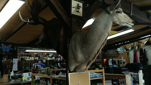 Gun Shop «Camp-Site Sport Shop Inc», reviews and photos, 1877 New York Ave, Huntington Station, NY 11746, USA