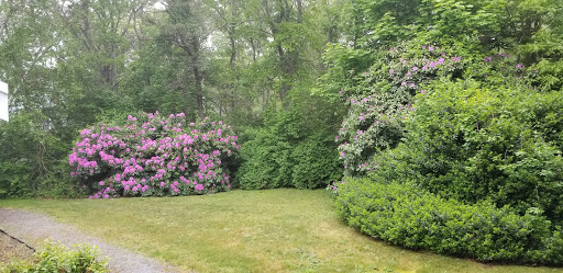 Car Dealer «Best Chrysler Dodge Jeep Ram», reviews and photos, 520 Colony Pl, Plymouth, MA 02360, USA