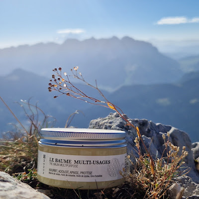 L'éclat des Alpes à Thônes