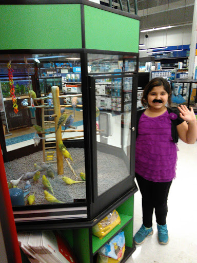Pet Supply Store «Petco Animal Supplies», reviews and photos, 200 Triangle Shopping Center #230, Longview, WA 98632, USA