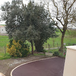 Photo n° 3 de l'avis de wyll. fait le 26/02/2021 à 22:04 pour Côté Allée à Saujon