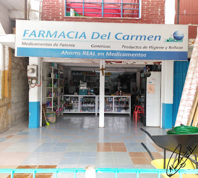 Farmacia Del Carmen Av. Constitucion 4, Otatal, , Potrero Del Llano