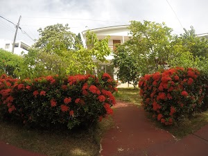 Cabañas Green Yard - photo 1