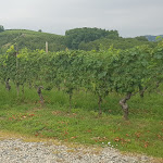 Photo n°16 de l'avis de Pamela.o fait le 26/07/2020 à 08:09 sur le  Tenuta Agricola La Cava - Cantina e Agriturismo à San Damiano d'Asti