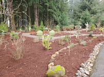 Liz Pike Art Gallery - Photo 2 - Car repair in Camas, WA, Vancouver