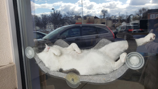 Pet Supply Store «Animal House Pet Supplies», reviews and photos, 733 Phillips Blvd, Sauk City, WI 53583, USA