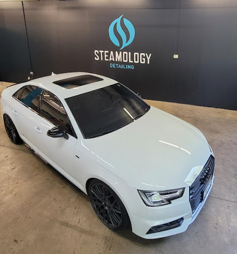 Steamology Detailing en Wayzata