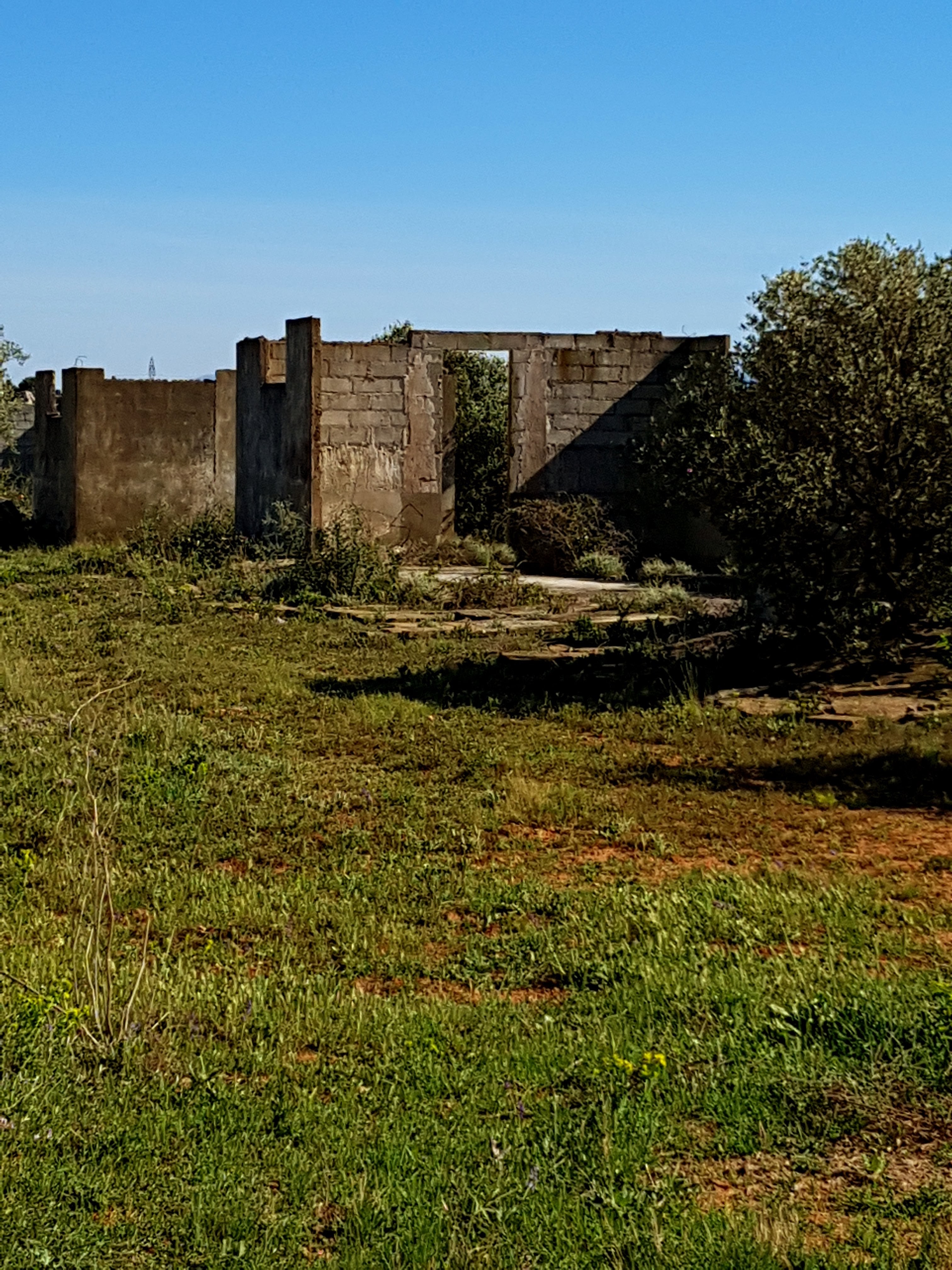 Photo n° 2 de l'avis de tiny.i fait le 13/05/2018 à 11:41