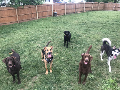 The Furlough Dog Daycare and Pet Resort